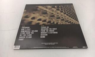 LP ploča Linkin Park - Meteora (Reissue) (LP) (Samo raspakovano) - 2