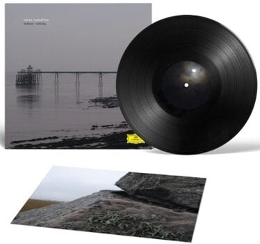 Vinyl Record Hildur Guðnadóttir - Without Sinking (Limited Edition) (180 g) (LP) - 2