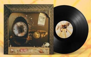Vinyl Record Wishy - Nature's Pill (LP) - 1