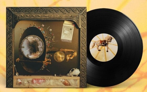 Vinyl Record Wishy - Nature's Pill (LP) - 2
