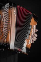 Piano accordion Latone Signature Woodline 37/96 Limited Edition Piano accordion Wood - 6