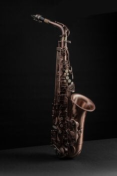 Alto saxophone Latone LAS 600 Antique Brass Alto saxophone - 10