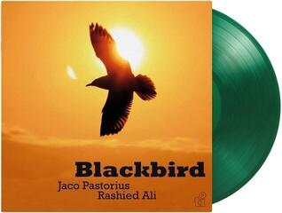 Vinyl Record Jaco Pastorius & Rashied Ali - Blackbird (Limited Edition) (Green Coloured) (180 g) (LP) - 1