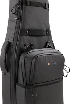 Koffer voor elektrische gitaar D'Addario PW-BLEGC-01 Koffer voor elektrische gitaar Black - 5