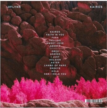 Disc de vinil O'Flynn - Kairos (2 LP) - 2