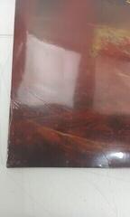 Vinüülplaat Exodus - Persona Non Grata (Picture Disc ) (2 LP) (Äsja lahti pakitud) - 3