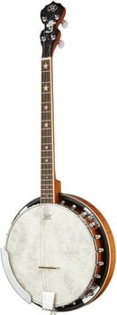 Banjo SX BJ554P Banjo - 4
