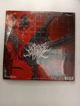 LP Signs Of The Swarm - Absolvere (Limited Edition) (LP) (Alleen uitgepakt) - 5