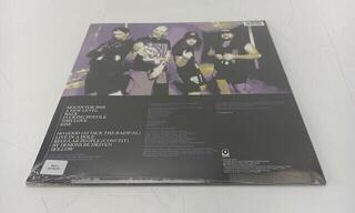 Vinyl Record Pantera - Vulgar Display Of Power (Limited Edition) (White & True Metal Gray Marbled) (LP) (Just unboxed) - 3
