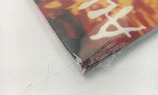 Vinyl Record Alice In Chains - Facelift (2 LP) (Just unboxed) - 2