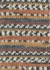 Strickgarn Austermann Step 6 97825-787 Bark Strickgarn - 1