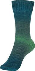 Hilo de tejer Austermann Step Merino 4 90318-08 Emerald Hilo de tejer - 1