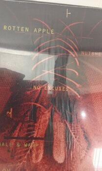 Грамофонна плоча Alice In Chains - Jar Of Flies (LP) (Само разопакован) - 4