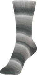 Fire de tricotat Schoeller + Stahl Fortissima Color 90028-2434 Sapporo Fire de tricotat - 1