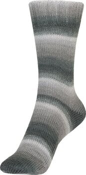 Fire de tricotat Schoeller + Stahl Fortissima Color 90028-2434 Sapporo Fire de tricotat - 2
