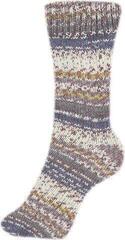 Fire de tricotat Schoeller + Stahl Fortissima Color 90028-2482 Autumn Leaves Fire de tricotat - 1