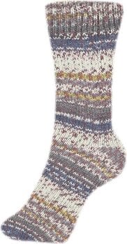 Fire de tricotat Schoeller + Stahl Fortissima Color 90028-2482 Autumn Leaves Fire de tricotat - 2