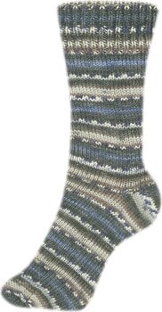 Fire de tricotat Schoeller + Stahl Fortissima Color 90028-2484 Farmer Fire de tricotat - 2