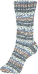 Fire de tricotat Schoeller + Stahl Fortissima Color 90028-2490 Jay Fire de tricotat - 1
