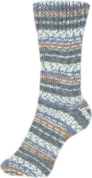 Fire de tricotat Schoeller + Stahl Fortissima Color 90028-2490 Jay Fire de tricotat - 2