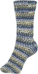 Knitting Yarn Schoeller + Stahl Fortissima Color 90028-2491 Country Knitting Yarn - 1