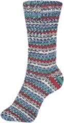 Fire de tricotat Schoeller + Stahl Fortissima Color 90028-2492 Club Fire de tricotat - 1