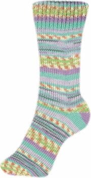 Pređa za pletenje Schoeller + Stahl Fortissima Color 90028-2493 Pastel Pređa za pletenje - 2