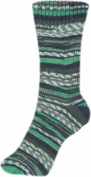 Fire de tricotat Schoeller + Stahl Fortissima Color 90028-2495 Grass Fire de tricotat - 2