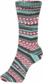 Pređa za pletenje Schoeller + Stahl Fortissima Color 90028-2496 Sport Pređa za pletenje - 2