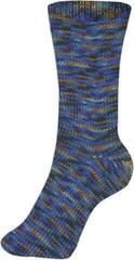 Fire de tricotat Schoeller + Stahl Fortissima Color 90028-2410 Denim Fire de tricotat - 1
