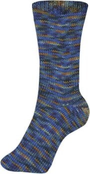 Fire de tricotat Schoeller + Stahl Fortissima Color 90028-2410 Denim Fire de tricotat - 2