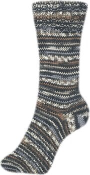 Pređa za pletenje Schoeller + Stahl Fortissima Color 6-fach 90008-162 Brown Multicolour Pređa za pletenje - 2