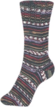Pređa za pletenje Schoeller + Stahl Fortissima Color 6-fach 90008-163 Bordeaux Multicolour Pređa za pletenje - 2