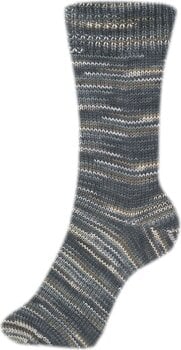 Pređa za pletenje Schoeller + Stahl Fortissima Color 6-fach 90008-166 Rodeo Pređa za pletenje - 2