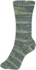 Knitting Yarn Schoeller + Stahl Fortissima Color 6-fach 90008-167 Jungle Knitting Yarn - 1