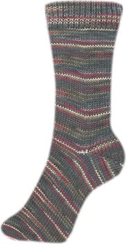 Pređa za pletenje Schoeller + Stahl Fortissima Color 6-fach 90008-168 Expedition Pređa za pletenje - 2