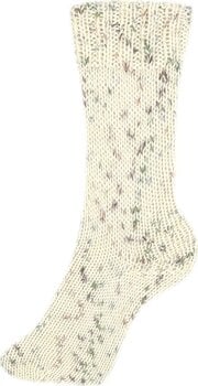Pređa za pletenje Schoeller + Stahl Fortissima Color 6-fach 90007-154 Natural Pređa za pletenje - 2