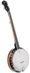 Banjo Pasadena BJ-105 Natural Banjo - 2