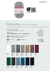 Knitting Yarn Schoeller + Stahl Fortisima 6-fach 90006-6011 Ruby Knitting Yarn - 1