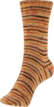Fire de tricotat Schoeller + Stahl Fortissima Merino 93042-102 Autumn Fire de tricotat - 2