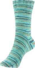 Knitting Yarn Schoeller + Stahl Fortissima Merino 93042-105 Lagoon Knitting Yarn - 1
