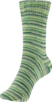 Pređa za pletenje Schoeller + Stahl Fortissima Merino 93042-106 Foliage Pređa za pletenje - 2
