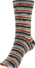 Fire de tricotat Schoeller + Stahl Fortissima Merino 93042-110 Agate Fire de tricotat - 1