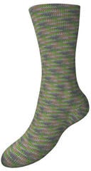 Fil à tricoter Schoeller + Stahl Fortissima Color 8-fach 90010-805 Glade Fil à tricoter - 1