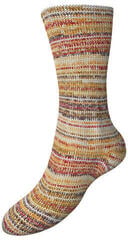Fire de tricotat Schoeller + Stahl Fortissima Color 8-fach 90010-808 Hazelnut Fire de tricotat - 1