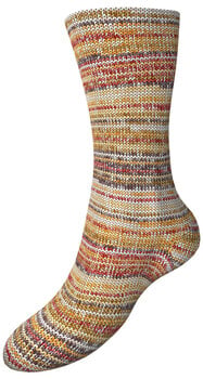 Fire de tricotat Schoeller + Stahl Fortissima Color 8-fach 90010-808 Hazelnut Fire de tricotat - 2
