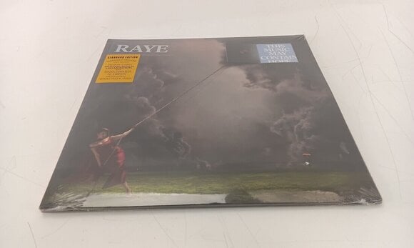 LP ploča Raye - This Music May Contain Hope (Marigold Yellow Coloured) (2 LP) (Samo otvarano) - 2