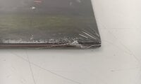Raye - This Music May Contain Hope (Marigold Yellow Coloured) (2 LP)