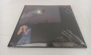 Schallplatte Harry Styles - Kiss All the Time. Disco, Occasionally (Neptune Coloured) (LP) (Nur ausgepackt) - 1