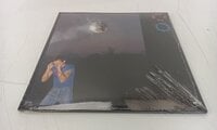 Harry Styles - Kiss All the Time. Disco, Occasionally (Neptune Coloured) (LP)